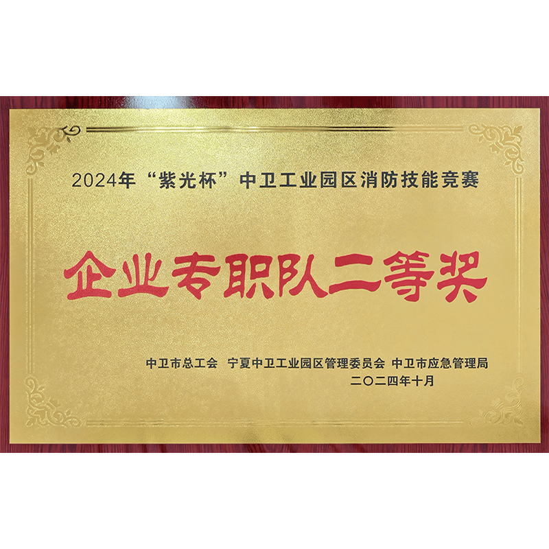紫光杯中(zhōng)衛工(gōng)業園區(qū)消防技(jì )能(néng)競賽企業專職隊二等獎