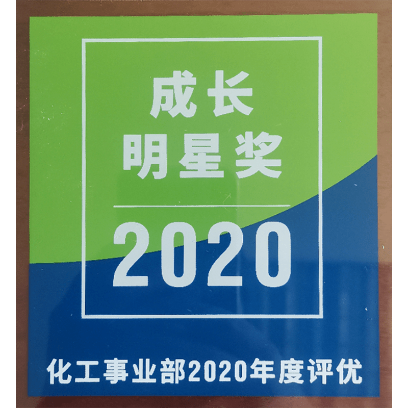 成長(cháng)明星獎