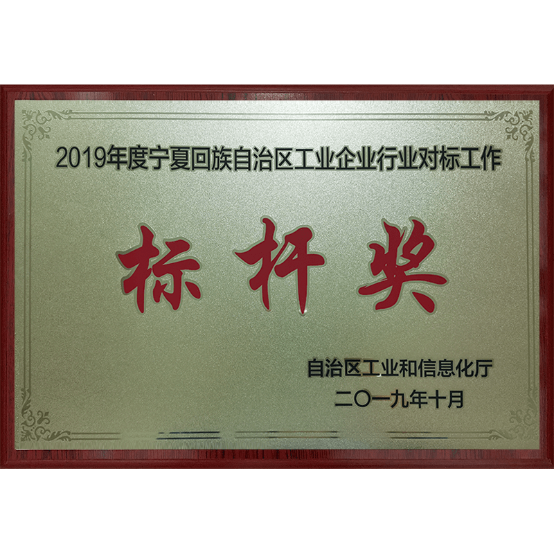 對标标杆獎